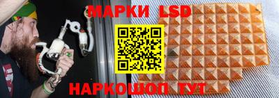 СК Заводоуковск